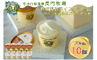 長門牧場アイスクリーム10個プレミアムセットCA-1　白い食べ比べセット（プレミアムフレーバー「ミルク＆バター」、バニラ各5個）　人気スイーツ　濃厚ミルク　直送　牛乳　生乳　国産　夏ギフト　長野県　贈答品　お土産　お中元　お歳暮　クリスマス