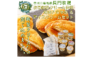 長門牧場薄皮どらやき＆アイスクリームセットD-6　人気スイーツ　濃厚ミルク　直送　牛乳　生乳　国産　夏ギフト　長野県　贈答品　お土産　お中元　お歳暮　クリスマス