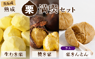 【 先行受付】 生むき栗 焼き栗 栗きんとん セット 選べる栗きんとん ラム 熟成栗 令和8年産 栗 くり クリ 大粒 栗ごはん レシピ付き 料理 栗料理 栗おかし 栗鹿ノ子 和菓子 わがし お茶 お茶菓子 おかし お菓子 果物 フルーツ 数量限定 旬 秋 冬 正月 おせち 栗の深雫 しずく くりのしずく 吉原農場 茨城県 筑西市 関東