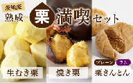 【先行受付】 生むき栗 焼き栗 栗きんとん セット 選べる栗きんとん プレーン＆ラム 熟成栗 令和8年産 栗 くり クリ 大粒 栗ごはん レシピ付き 料理 栗料理 栗おかし 栗鹿ノ子 和菓子 わがし お茶 お茶菓子 おかし お菓子 果物 フルーツ 数量限定 旬 秋 冬 正月 おせち 栗の深雫 しずく くりのしずく 吉原農場 茨城県 筑西市 関東