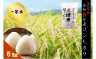 【先行受付】令和8年産 コシヒカリ5キロ(5kg×1袋) 天然の軟水「黒耀水」育ちのお米 長野県長和町産 農家直送 一等米精白米