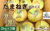 【令和8年度産】玉ねぎ 2kg×2箱 ｜ 混サイズ 玉ねぎ たまねぎ タマネギ 玉葱 カレー シチュー 肉じゃが スープ サラダ 人気 大阪 河内長野 kawabata farm 料理  国産 エコ農産物 甘い玉ねぎ 野菜 食育 安心 安全