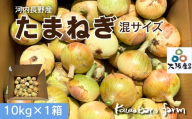 【令和8年度産】玉ねぎ 10kg×1箱  ｜ 混サイズ 玉ねぎ たまねぎ タマネギ 玉葱 カレー シチュー 肉じゃが スープ サラダ 人気 大阪 河内長野 kawabata farm 料理 国産 エコ農産物 甘い玉ねぎ 野菜 食育 安心 安全