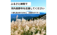河内長野市を応援してください！　大阪府河内長野市　応援寄付金　１０００円　ふるさと納税（謝礼品なし）