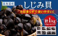 網走湖産しじみ貝小分け済み1kg (125g×2)4袋_網走湖 しじみ貝 しじみ 小分け 人気 美味しい 小分け個包装 砂抜き済み 味噌汁 冷凍 オルチニン【1682671】