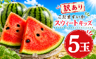 スイカ 訳あり 小玉スイカ 5玉 小玉 こだま すいか スイカ 西瓜 スウィートキッズ  果物 人気 おすすめ 旬 夏 シャリ さっぱり 甘い フルーツ くだもの デザート 果汁 傷 規格外 訳あり品 訳アリ 新鮮 フレッシュ 産地直送 季節限定 夏季限定 期間限定 お取り寄せ 家庭用 茨城 筑西 jat099