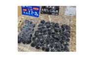 ＜北海道小清水町＞トウフツ湖のしじみと網走湖のしじみ食べ比べセット_しじみ貝 トウフツ湖 網走湖 食べ比べ 冷凍 味噌汁 しじみ汁 美味しい 人気 おすすめ【1739462】