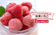 いちご 冷凍いちご 500g×2 イチゴ 苺 果物 デザート ベリー畑 福田ファーム ※配送不可：沖縄、離島