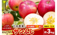 【26年12月発送】りんご サンふじ【おもてなし用】約3kg 平均糖度13度以上 青森県 弘前市 果物 フルーツ 林檎 リンゴ くだもの [先行予約 産地直送 アップル 青森県 弘前市]
