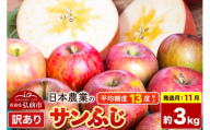 【26年11月発送】りんご サンふじ【訳あり】約3kg 平均糖度13度以上 青森県 弘前市 果物 フルーツ 林檎 リンゴ くだもの 不揃い 規格外 [先行予約 家庭用 産地直送 アップル 青森県 弘前市] [u9]