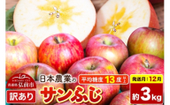 【26年12月発送】りんご サンふじ【訳あり】約3kg 平均糖度13度以上 青森県 弘前市 果物 フルーツ 林檎 リンゴ くだもの 不揃い 規格外 [先行予約 家庭用 産地直送 アップル 青森県 弘前市] [u9]