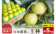 【26年11月発送】りんご 王林【訳あり】約5kg 平均糖度13度以上 青森県 弘前市 果物 フルーツ 林檎 リンゴ くだもの 不揃い 規格外 [先行予約 家庭用 産地直送 アップル 青森県 弘前市]