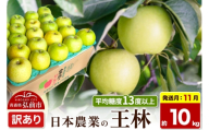 【26年11月発送】りんご 王林【訳あり】約10kg 平均糖度13度以上 青森県 弘前市 果物 フルーツ 林檎 リンゴ くだもの 不揃い 規格外 [先行予約 家庭用 産地直送 アップル 青森県 弘前市]