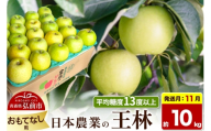 【26年11月発送】りんご 王林【おもてなし用】約10kg 平均糖度13度以上 青森県 弘前市 果物 フルーツ 林檎 リンゴ くだもの [先行予約 産地直送 アップル 青森県 弘前市]
