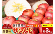 【26年11月発送】りんご サンふじ【贈答用】約3kg 平均糖度13度以上 青森県 弘前市 果物 フルーツ 林檎 リンゴ くだもの 贈り物 ギフト [先行予約 産地直送 アップル 青森県 弘前市]