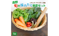 旬のとれたて野菜セット(7~10品)レギュラーサイズ＜こんたでぃーの遠野＞【1328912】