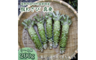 ＜生産者直送＞宮守特産わさび(生) 200g(3～4本)【1332050】