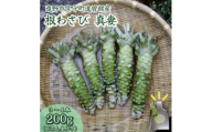 ＜生産者直送＞宮守特産わさび 真妻(生) 200g(3～4本)＜わさび用おろし金付き＞【1332087】