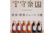 宮守楽園 ジュース 3種  6本 セット / 宮守川上流生産組合 遠野市【1635004】