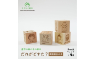 遠野の森の木の絵本 「 だれがどすた? 英語 版 Who did what?(女の子)」 遠野市【1693666】