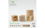 遠野の森の木の絵本 「 だれがどすた? 英語 版 Who did what?(男の子)」 遠野市【1693680】