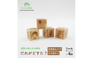 遠野の森の木の絵本 「 だれがどすた? 英語 版 Who did what?(女の子:日本語付き)」【1693688】
