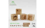 遠野の森の木の絵本 「 だれがどすた? 英語 版 Who did what?(男の子:日本語付き)」【1693694】