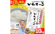 ＜令和7年産＞いわてっこ(無洗米) (精米)岩手県遠野市産 10kg 河判【1714127】