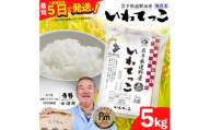 ＜令和7年産＞いわてっこ(無洗米) (精米)岩手県遠野市産 5kg 河判【1714128】
