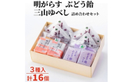 明がらす・ぶどう飴・三山ゆべし 計16個 詰め合わせセット 岩手県遠野市 銘菓 竹林堂【1740124】