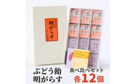 明がらす・ぶどう飴 各12個(計24個)食べ比べセット 岩手県遠野市 竹林堂【1740127】