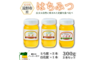 百花蜜×1本 /とち蜜×2本 蜂蜜 各300g 計3本セット パッカー付き 岩手県 遠野産 馬場光男【1742294】
