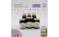 ブルーベリージュース&ジャム&ソース 合計6個セット 栽培期間中農薬不使用 つくしファーム 遠野【1742671】