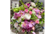 ＜毎月定期便＞松田生花店の季節のフラワーアレンジメント Lサイズ全6回【4050669】