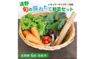＜発送月固定定期便＞奇数月発送 旬のとれたて野菜セット(7～10品)レギュラーサイズ全6回【4066185】