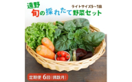 ＜発送月固定定期便＞偶数月発送 旬のとれたて野菜セット(5～7品)ライトサイズ全6回【4066187】