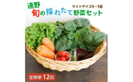 ＜毎月定期便＞旬のとれたて野菜セット(5～7品)ライトサイズ＜こんたでぃーの遠野＞全12回【4066188】