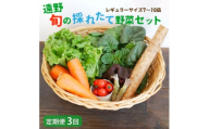 ＜毎月定期便＞旬のとれたて野菜セット(7～10品)レギュラーサイズ＜こんたでぃーの遠野＞全3回【4066189】