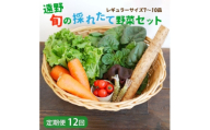 ＜毎月定期便＞旬のとれたて野菜セット(7～10品)レギュラーサイズ＜こんたでぃーの遠野＞全12回【4066191】