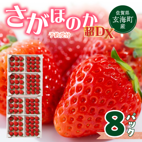 【予約受付】佐賀県玄海町産さがほのか超DX（2027年1月～5月中にお届け）／ 送料無料 さがほのか 苺 いちご イチゴ 希少 果物 くだもの フルーツ デザート 旬 順次配送 予約受付 2689354 - 佐賀県玄海町