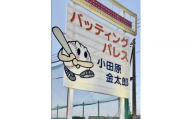 バッティングパレス 3000円分チケット