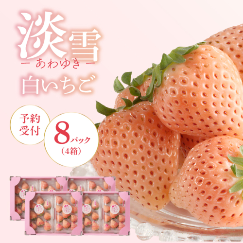 ★予約受付★杉山いちご農園 白いちご「淡雪（あわゆき）超DX」2027年1月～5月中に順次配送 ／ 送料無料 白苺 さがほのか 淡雪 あわゆき 希少 果物 くだもの フルーツ デザート 予約受付 2689475 - 佐賀県玄海町