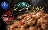 【3ヶ月定期便】塩ジンギスカン250g×12 【 ふるさと納税 人気 おすすめ ランキング 室蘭 塩ジンギスカン ジンギスカン 塩 ラム 生ラム 羊 肩ロース 肉 焼肉 BBQ 大容量 詰合せ 贈り物 定期便 北海道 室蘭市 送料無料 】 MROA238