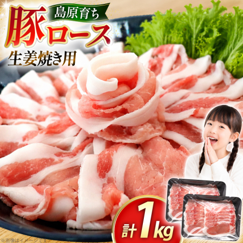 AK030 豚ロース 生姜焼き用 500g 2パック 計1kg [ 豚肉 ぶた肉 ロース 小分け 肉 お肉 生姜焼き しょうが焼き BBQ バーベキュー 焼肉 アウトドア 1キロ スターゼン 長崎県 島原市 ] 2689682 - 長崎県島原市