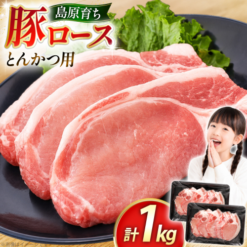 AK032 豚ロース とんかつ用 500g 2パック 計1kg [ 豚肉 ぶた肉 ロース 小分け 肉 お肉 とんかつ 1キロ BBQ バーベキュー 焼肉 アウトドア 1キロ スターゼン 長崎県 島原市 ] 2689689 - 長崎県島原市