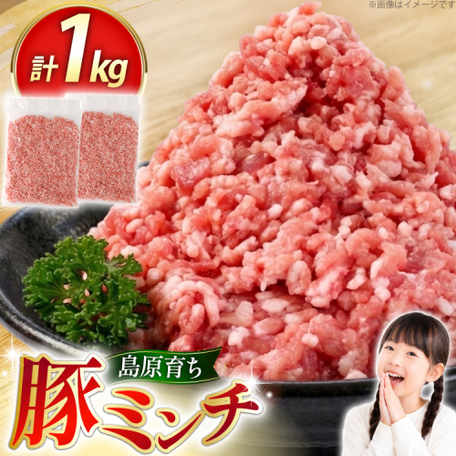 AK026 豚ミンチ 500g 2パック 計1kg [ 豚肉 肉 ミンチ ミンチ肉 小分け ぶた肉 ぶた 豚 スターゼン 長崎県 島原市 ] 2689712 - 長崎県島原市