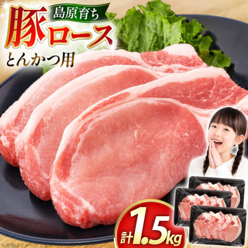 AK033 豚ロース とんかつ用 500g 3パック 計1.5kg [ 豚肉 ロース 小分け 肉 お肉 BBQ バーベキュー 焼肉 アウトドア スターゼン 長崎県 島原市 ] 2689845 - 長崎県島原市