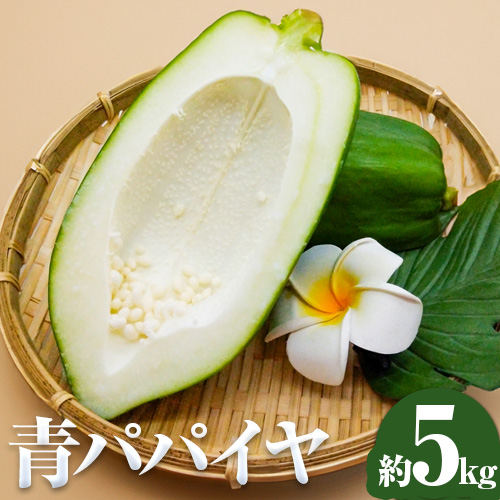 パパイヤ 青パパイヤ パパイア 野菜 健康野菜 5kg ゆいやわす《9月下旬-12月中旬頃出荷》熊本県 葦北郡 津奈木町 国産 人気 お試し カレー お味噌汁 炒め物 サラダ に 酵素 食物繊維 たっぷり 2689921 - 熊本県津奈木町