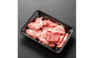 ＜飛騨牛＞切り落し焼肉用 800g 岐阜県産 黒毛和牛【1751220】