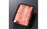＜毎月定期便＞＜飛騨牛＞ローススライス(すき焼き/しゃぶしゃぶ)1kg 岐阜県産 黒毛和牛全3回【4088367】